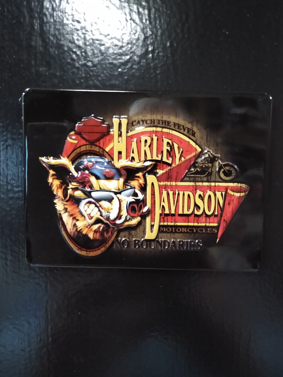 Harley Davidson Magnet Catch the Fever