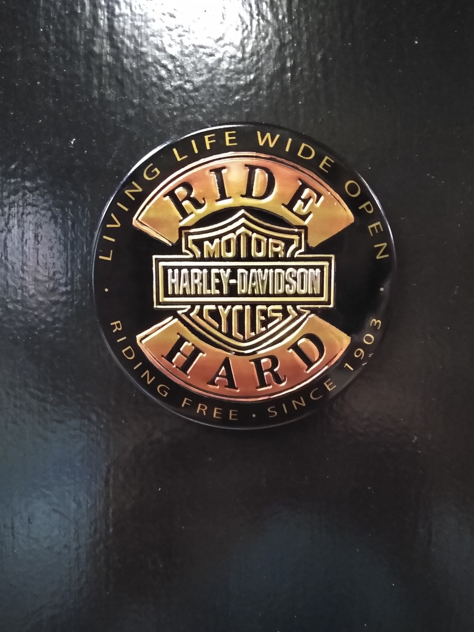 Harley Davidson Magnet Ride Hard